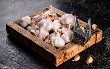 Garlic on a wooden tray with a garlic press. On a black background. High quality photo