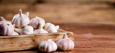 Fragrant garlic on a wooden tray. On a wooden background. High quality photo