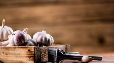 Fragrant garlic on a wooden tray. On a wooden background. High quality photo