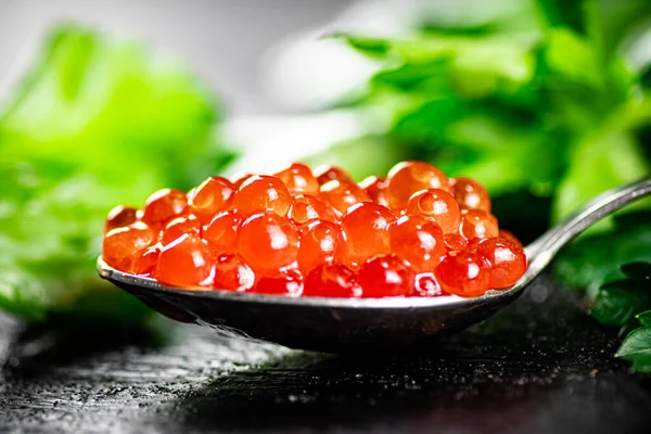 Full Spoonful Red Caviar Table Parsley Dark Background High Quality — стоковое фото
