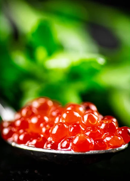 Full Spoonful Red Caviar Table Parsley Dark Background High Quality — Foto de Stock