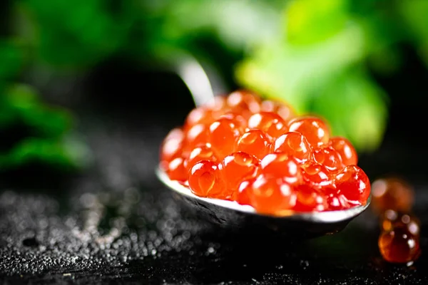 Spoonful Red Caviar Parsley Black Background High Quality Photo — Foto de Stock