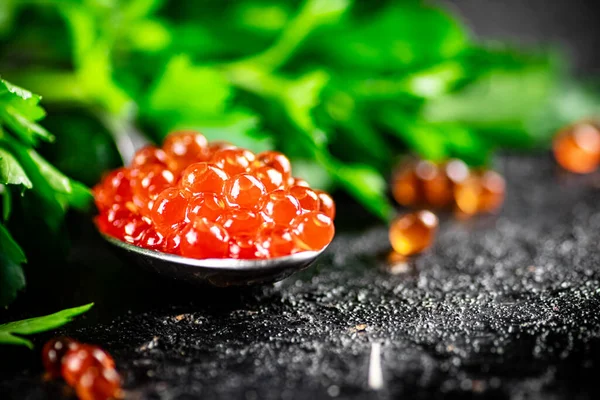 Spoonful Red Caviar Parsley Black Background High Quality Photo — Fotografia de Stock