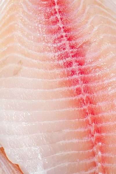 Raw Fish Fillet Macro Background Texture Fish Fillet High Quality — Stock fotografie