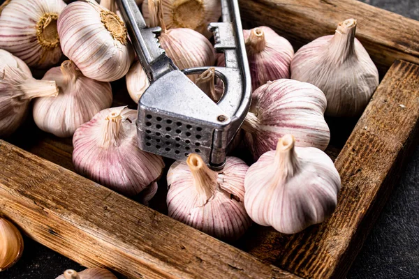 Garlic on a wooden tray with a garlic press. On a black background. High quality photo