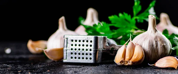Garlic with parsley and garlic press. On a black background. High quality photo