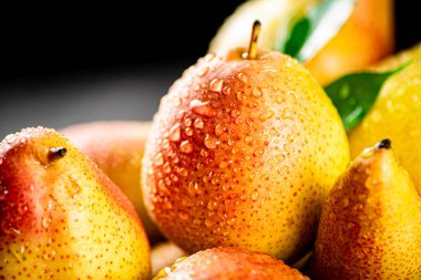 Juicy pears with drops of water. Against a dark background. High quality photo