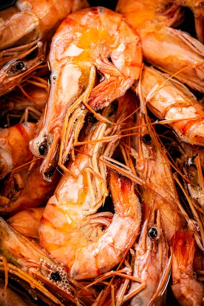 Red Shrimp Boiled Water Macro Background Shrimp Texture High Quality — стоковое фото