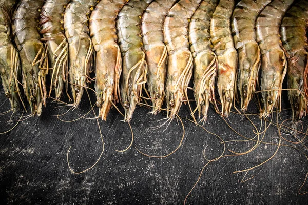 Fresh Uncooked Raw Shrimp Black Background High Quality Photo — Stockfoto