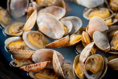 Fresh vongole. Macro background. Texture vongole. High quality photo