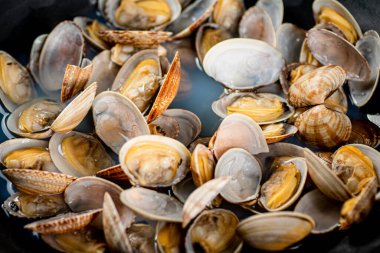 Fresh vongole. Macro background. Texture vongole. High quality photo