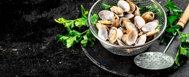 Fresh vongole in a colander on a stone board with parsley. On a black background. High quality photo