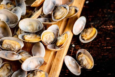 Vongole on a wooden cutting board. Against a dark background. High quality photo