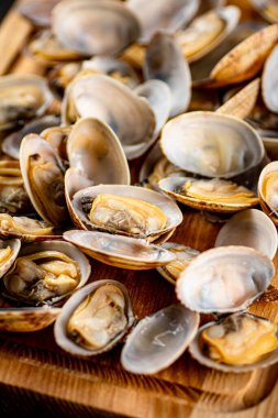 Fresh vongole on a cutting board. Macro background. High quality photo