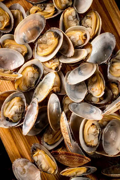 Fresh vongole on a cutting board. Macro background. High quality photo