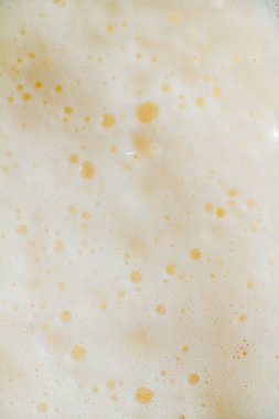 Bira köpüğü. Yukarıdan bak. Makro