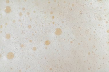 Bira köpüğü. Yukarıdan bak. Makro