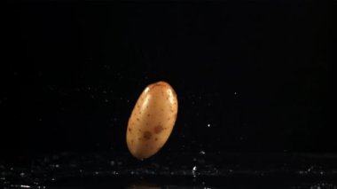 Patatesler masaya düşer. Film, yavaş çekim 1000 fp. Yüksek kaliteli FullHD görüntüler