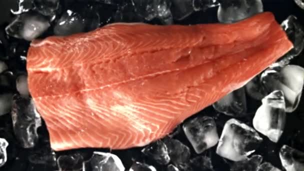 鮭の切り身は氷で飛ぶ 撮影はスローモーション1000 Fpsです 高品質のフルHd映像 — ストック動画