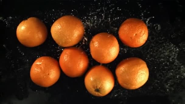 Апельсины Взлетают Каплями Воды Замедленная Съемка 1000 Кадров Секунду Высококачественные — стоковое видео