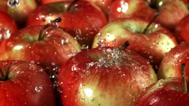 Σταγόνες Νερού Πέφτουν Στα Μήλα Φιλμ Είναι Αργή Κίνηση 1000 — Αρχείο Βίντεο