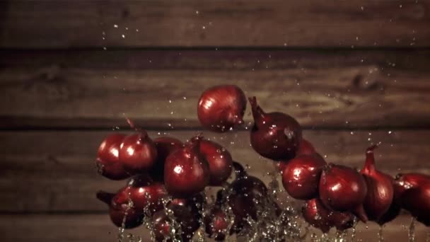 Hagyma Vízcseppekkel Légyben Felvétel Lassított Felvétel 1000 Fps Kiváló Minőségű — Stock videók