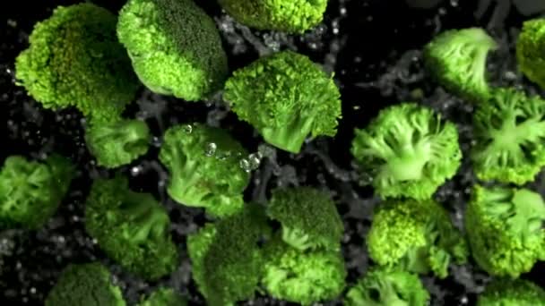 Brócoli Con Gotas Agua Filmado Cámara Lenta 1000 Fps Imágenes — Vídeos de Stock