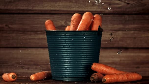 Морковь Ведре Каплями Дождя Замедленная Съемка 1000 Кадров Секунду Высококачественные — стоковое видео