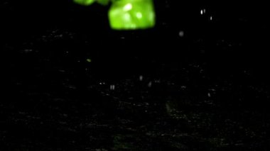 Fesleğen yaprakları masaya düşer. Film, yavaş çekim 1000 fp. Yüksek kaliteli FullHD görüntüler