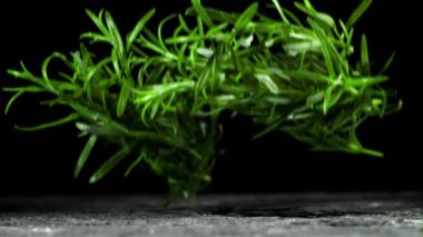 Biberiye dalları ıslak masaya düşer. Film, yavaş çekim 1000 fp. Yüksek kaliteli FullHD görüntüler