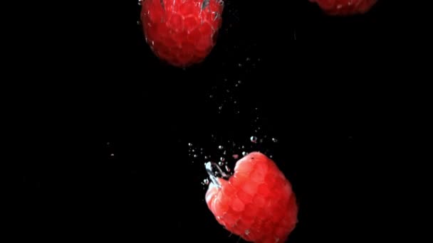 Fresh Raspberries Fall Underwater Bubbles Filmed Slow Motion 1000 Fps — Stock Video