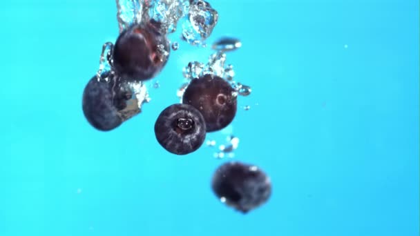 Verse Bosbessen Vallen Onder Water Met Belletjes Gefilmd Slow Motion — Stockvideo