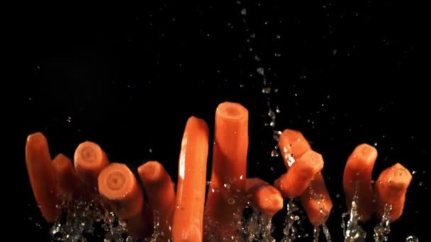 Свежая Морковь Летает Вверх Вниз Замедленная Съемка 1000 Кадров Секунду — стоковое видео
