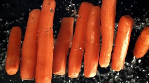 Karotten Mit Wassertropfen Gefilmt Wird Zeitlupe 1000 Fps Hochwertiges Fullhd — Stockvideo
