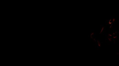 Siyah arka planda alevler. Film, yavaş çekim 1000 fp. Yüksek kaliteli FullHD görüntüler