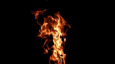 Siyah arka planda alevler. Film, yavaş çekim 1000 fp. Yüksek kaliteli FullHD görüntüler