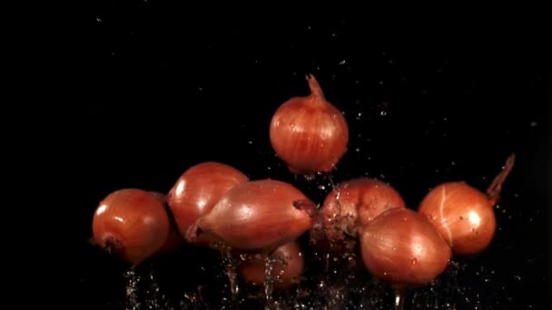 Zwiebeln Mit Wassertropfen Fliegen Gefilmt Wird Zeitlupe 1000 Fps Hochwertiges — Stockvideo