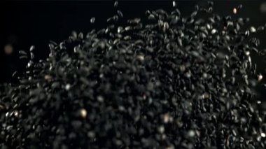 Susam tohumları uçar ve düşer. Film, yavaş çekim 1000 fp. Yüksek kaliteli FullHD görüntüler