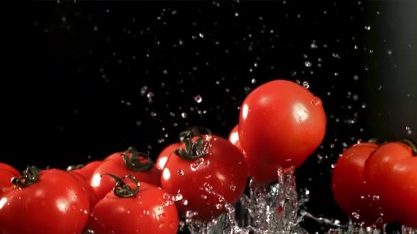 Los Tomates Vuelan Con Gotas Agua Filmado Cámara Lenta 1000 — Vídeos de Stock