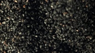 Susam tohumları uçar ve düşer. Film, yavaş çekim 1000 fp. Yüksek kaliteli FullHD görüntüler
