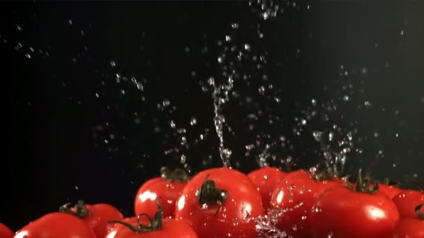 Los Tomates Vuelan Con Gotas Agua Filmado Cámara Lenta 1000 — Vídeo de stock