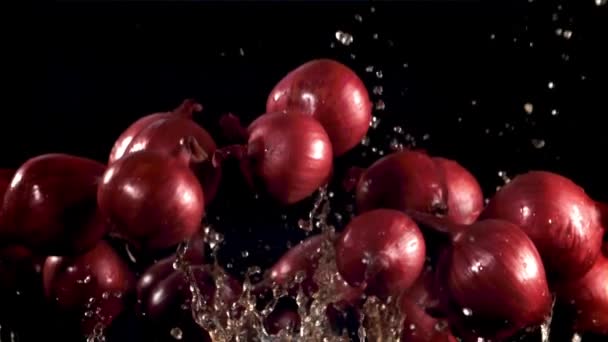 Uien Met Water Druppels Vliegen Gefilmd Slow Motion 1000 Fps — Stockvideo