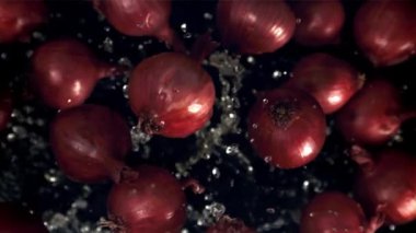 Sinekli soğan damlaları. Film, yavaş çekim 1000 fp. Yüksek kaliteli FullHD görüntüler