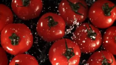 Su damlalı domatesler. Film, yavaş çekim 1000 fp. Yüksek kaliteli FullHD görüntüler