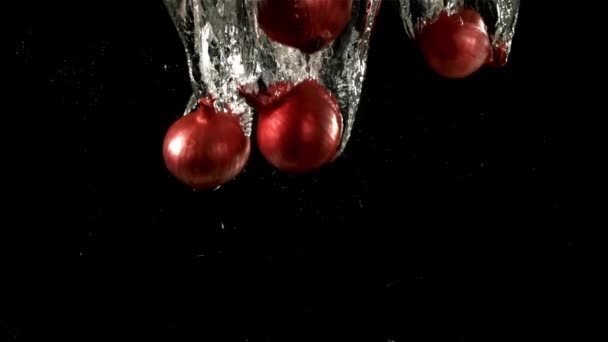 Zwiebeln Fallen Unter Wasser Gefilmt Wird Zeitlupe 1000 Fps Hochwertiges — Stockvideo