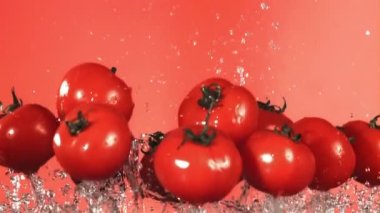 Domatesler su damlalarıyla uçar. Film, yavaş çekim 1000 fp. Yüksek kaliteli FullHD görüntüler