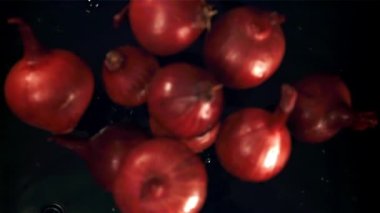 Soğan suya düşer. Film, yavaş çekim 1000 fp. Yüksek kaliteli FullHD görüntüler