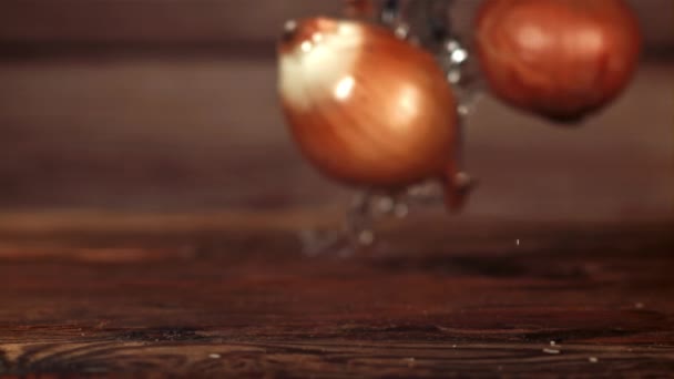 Onion Falls Table Filmed Slow Motion 1000 Fps High Quality — Stock Video