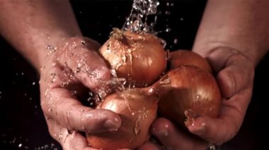Ellerinde soğan. Film, yavaş çekim 1000 fp. Yüksek kaliteli FullHD görüntüler