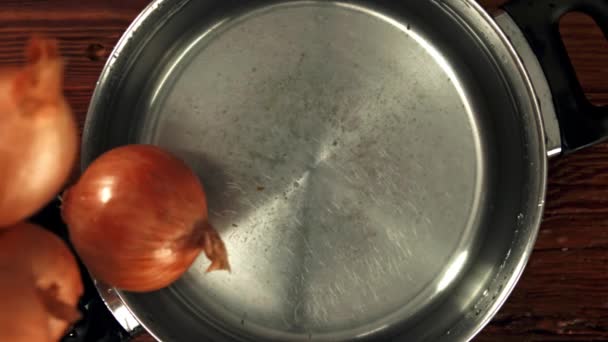 Onion Falls Pan Water Filmed Slow Motion 1000 Fps High — Stock Video